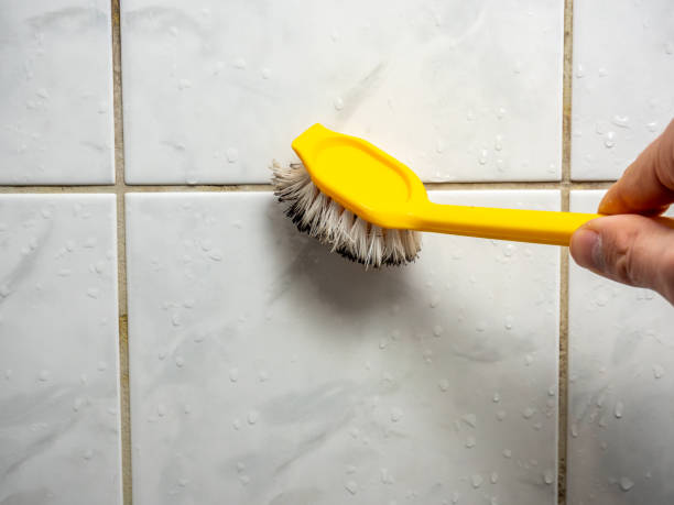 Best Home Mold Removal  in Clksville, AR