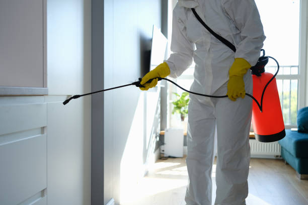 Professional Mold Removal in Clarksville, AR
