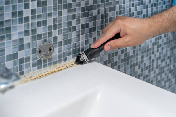 Best Commercial Mold Removal  in Clksville, AR